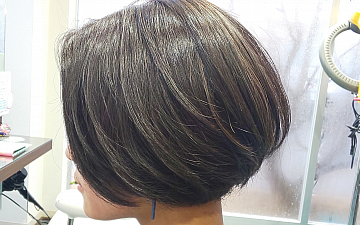 ハイライトcollar!