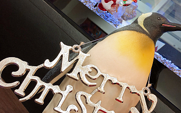 ご予約に関して